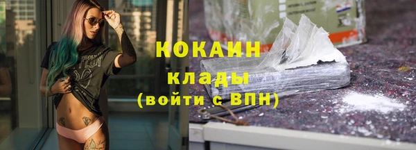 шишки Дмитров