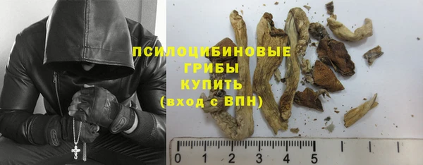 mdpv Дмитриев