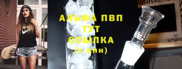 шишки Дмитров