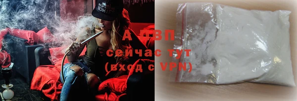 шишки Дмитров