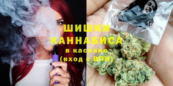 шишки Дмитров