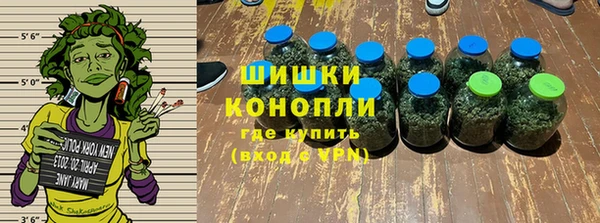 шишки Дмитров