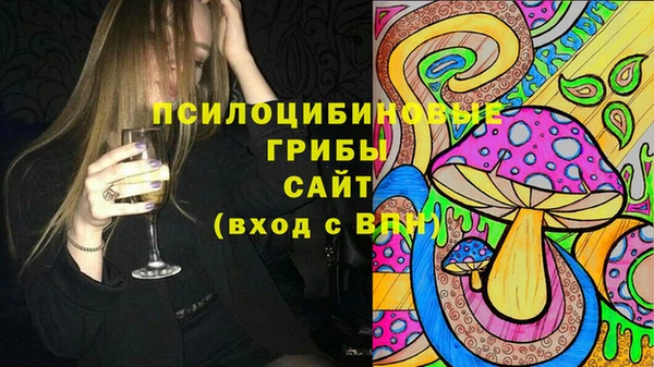 шишки Дмитров