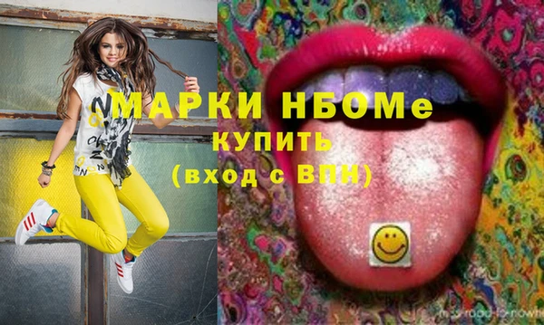 шишки Дмитров